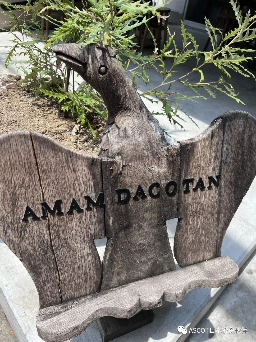 【深度探店】AMAM DACOTAN：飘荡着面包甜香的童话小屋