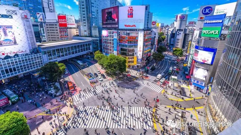 【东京图鉴】渋谷区的魅力是什么？关于历史和未来发展的介绍！