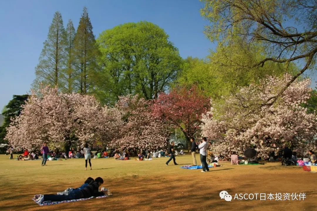 【东京图鉴】东京新宿 亚洲屈指的繁华地区